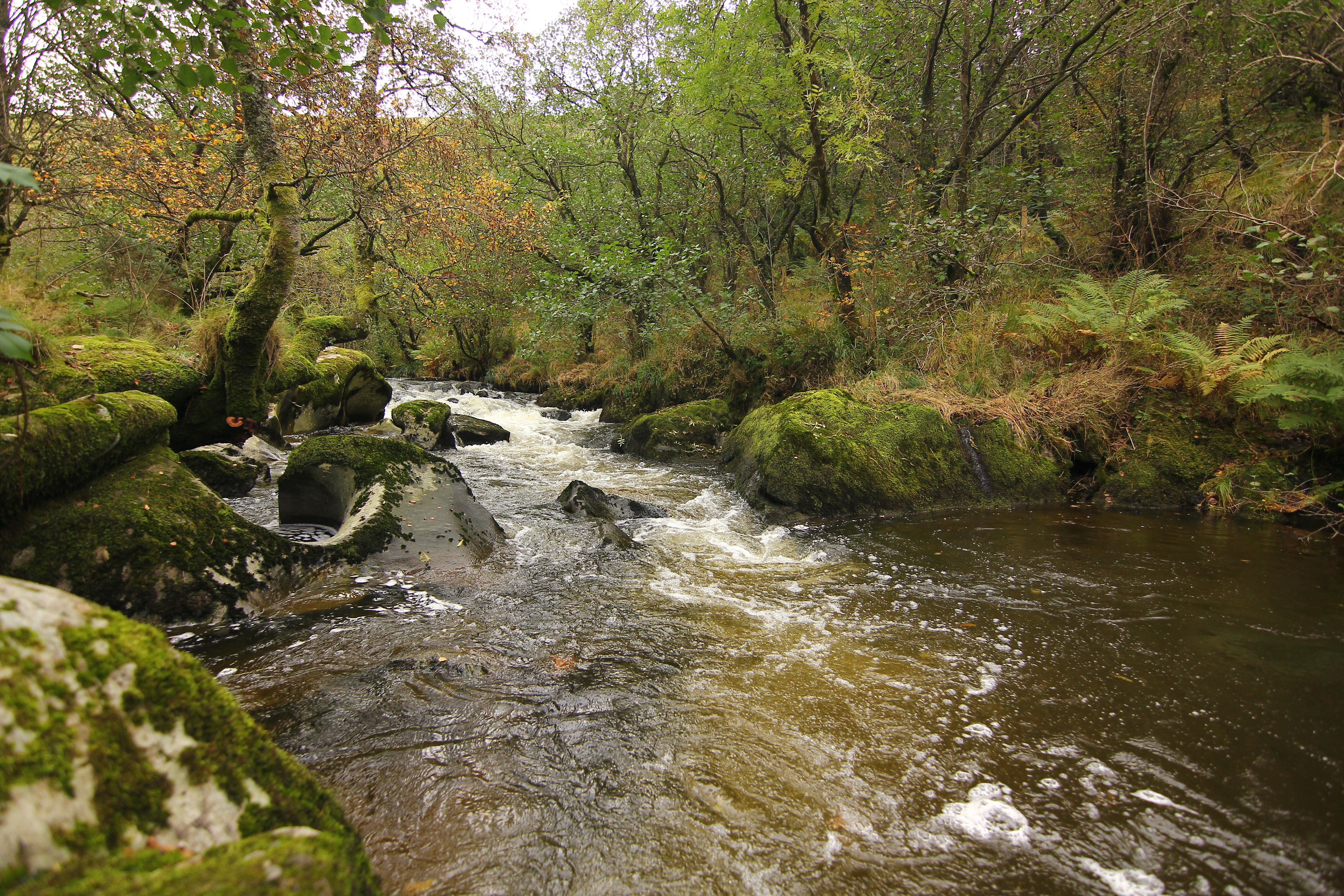 Major new project to restore and protect two rivers in Mid Wales