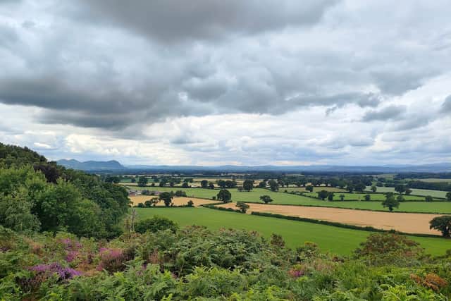 Nescliffe Hill. Photo: George Nutter/Google