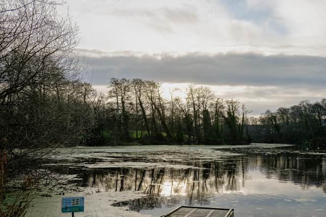 Dothill & Shawbirch Local Nature Reserve