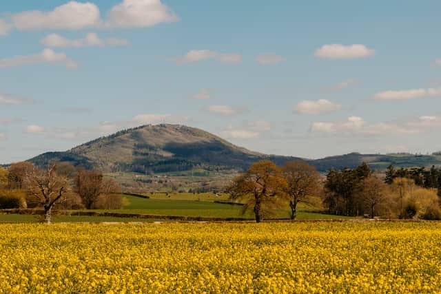 The Wrekin