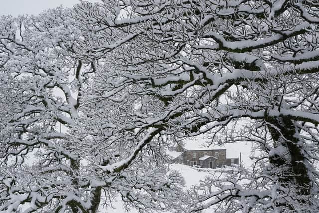 A warning has been issued for northern parts of the UK for snow and ice (Owen Humphreys/PA)