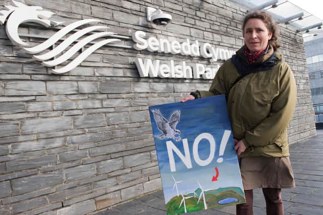 Clare Dunbar-Pollard of Llanwrtyd Wells Anti Turbine and Pylon Community Group with a placard