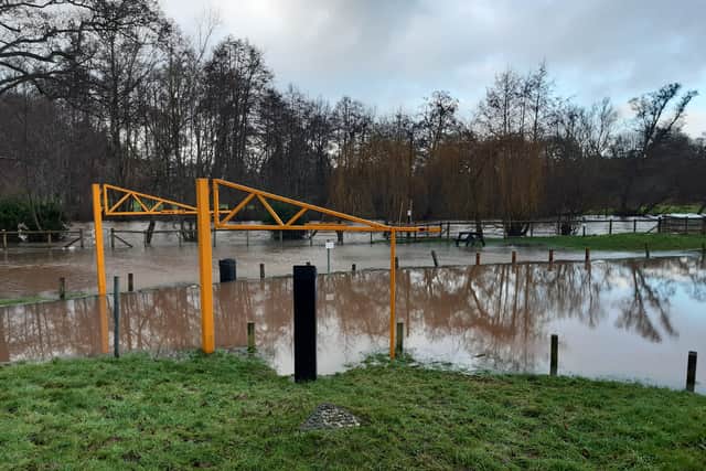 By the River Teme in Ludlow. Photo: Steve Leath