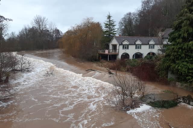 Whitcliffe Common in Ludlow. Photo: Steve Leath