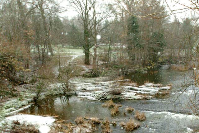 Snow settling on the banks of the River Severn at Newtown, November 26, 2010.