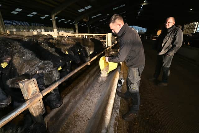 Rob Edwards and Tom Rogers at Wyndford Wagyu. Photo: Steve Leath