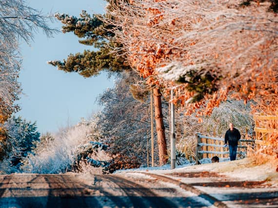 Apley Woods. Photo: Jamie Ricketts