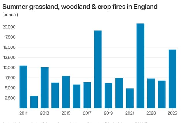 Summer grassland, woodland and crop fires in England