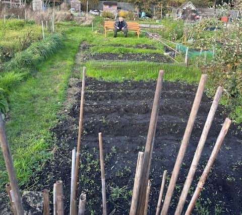 The allotment at Stanhope Road