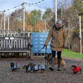 More than 1,000 people attended the Christmas Dachshund Extravaganza at Alderford Lake. Photo: Tim Thursfield