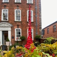 Residents asked to expand Ludlow's 'poppy waterfall' for Remembrance Day