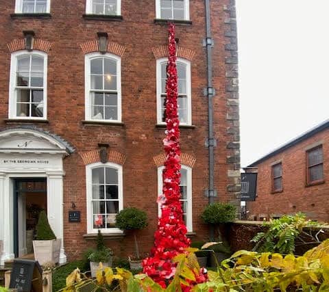 Ludlow Community Poppy Waterfall