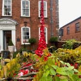Ludlow Community Poppy Waterfall