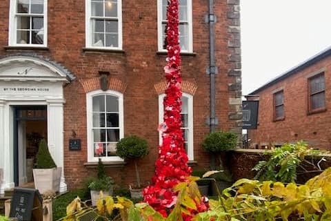 Residents asked to expand Ludlow's 'poppy waterfall' for Remembrance Day