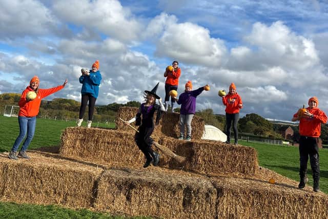 The team from PYO Pumpkins @ Lower Drayton Farm are on top of the world after being named Staffordshire's best pumpkin patch!