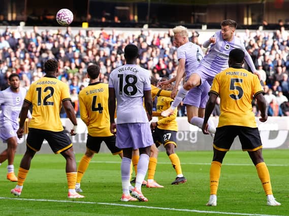 Wolves were denied the victory by a late Brighton goal (David Davies/PA)