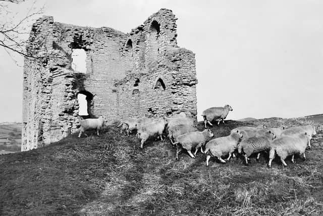 Clun Castle, pictured on March 3, 1967