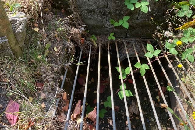 Drains in the garden adjacent to the lagoon site struggle to cope with frequent floods. Picture: Chris Naylor