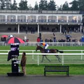 The letter said MPs are not advocating for a tax rise on the British horseracing sector. Pictured is Ludlow Racecourse