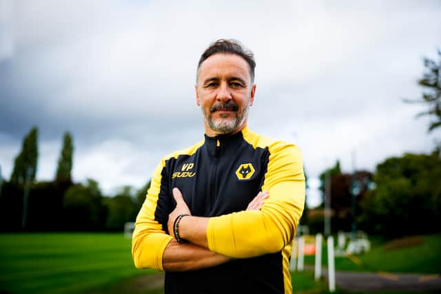 Vitor Pereira (Picture: Wolves)