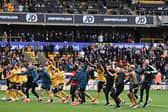 Vitor Pereira lifted Wolves from the demise to comfortably lead them to safety last season.