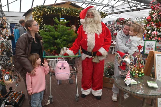 Anna Kerr and Isla Stokes, 4, with Buddy the dog, Alaina-Rose Gunter-Jevons, 2, and Cassie-Jay Jevons