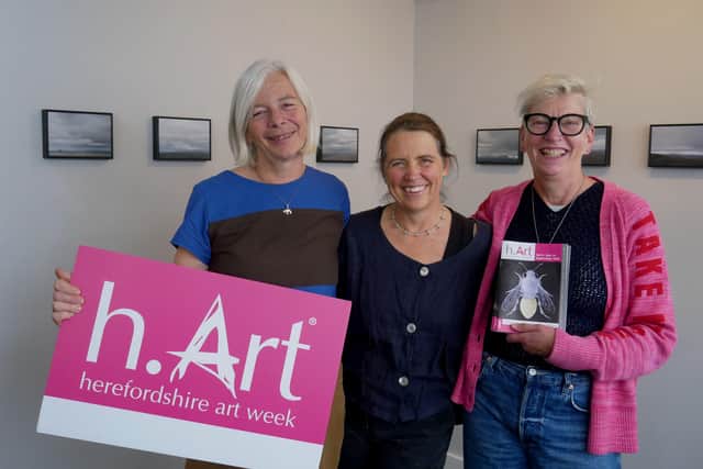 Flock gallery owner Hattie Budd (centre) with former H Art co-ordinator Amanda Fitzwilliams (left) and founding co-ordinator Kate Bull in front of a set of paintings of Hergest Ridge by Daniel Crawshaw. Image by Andy Compton