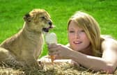 West Midlands Safari Park back in 2002 when temperatures soared. Andrea Redfern is pictured with adorable cub Amy as staff dished out treats to the animals