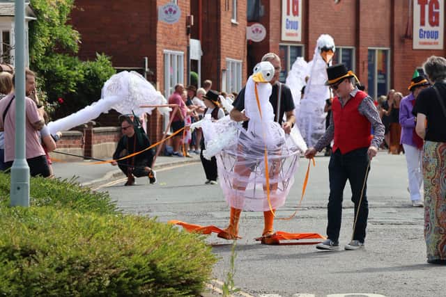 There were swans galore at Ellesmere Carnival 2025. Pictures: Sue Austin