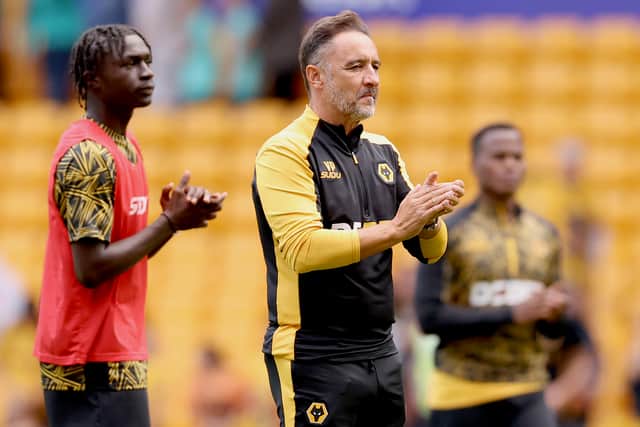 Vitor Pereira (Photo by Jack Thomas/Getty Images)