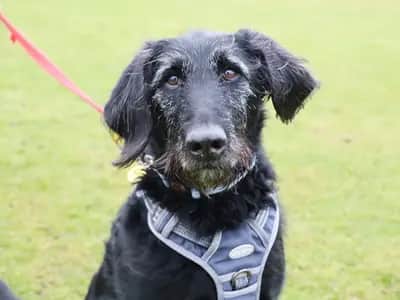 Ben