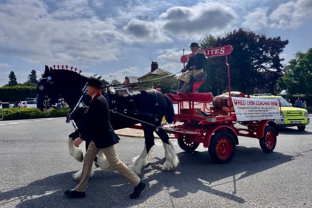 A Shire horse carried a wagon for the Red Lion pub at Ellesmere Carnival. Pictures: Sue Austin