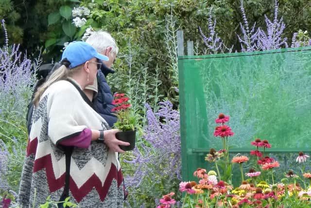 Dorothy Garden Summer Plant Hunters' Fair