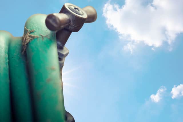 Water groups have said that reeling up the hose pipes and using water cans is just one way to conserve water