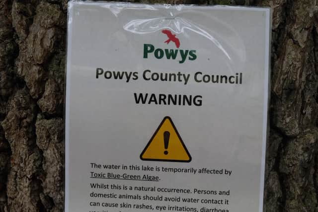 Some of the notices placed at Llandrindod Wells lake over the last week or so. Image by Andy Compton