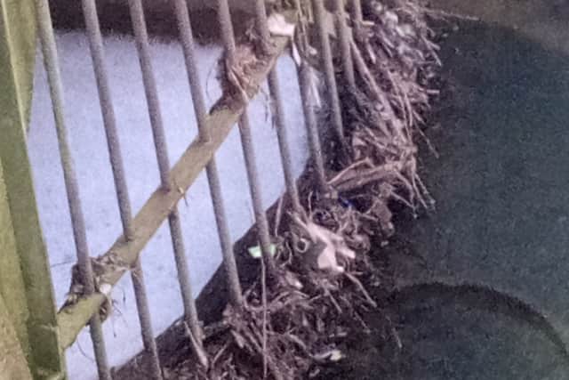 Pollution problems at Hurley Brook in Telford. Picture: Friends of Hurley Brook