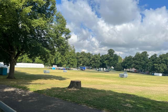 The tree has been removed from The Quarry. Picture: Shrewsbury Town Council