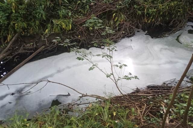 Pollution problems at Hurley Brook in Telford. Picture: Friends of Hurley Brook