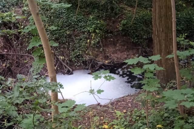 Pollution problems at Hurley Brook in Telford. Picture: Friends of Hurley Brook