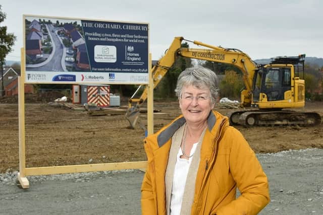 Heather Kidd, leader of Shropshire Council. Picture: Shropshire Council