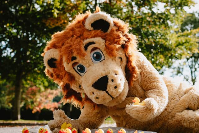Bridgnorth Lions raise money for good causes through events like the town duck race