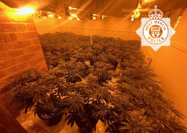 Plants discovered at the property. Picture: West Mercia Police