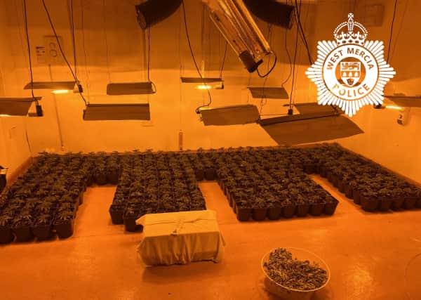 Plants discovered at the property. Picture: West Mercia Police