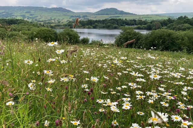 Tittesworth Water. Photo: Severn Trent