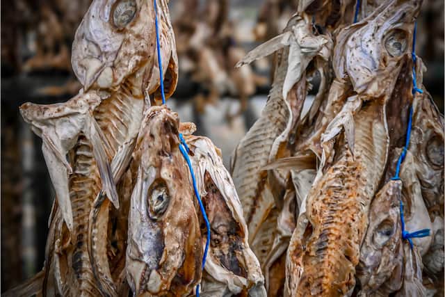 3. Colin Macklin - Rotting Cod