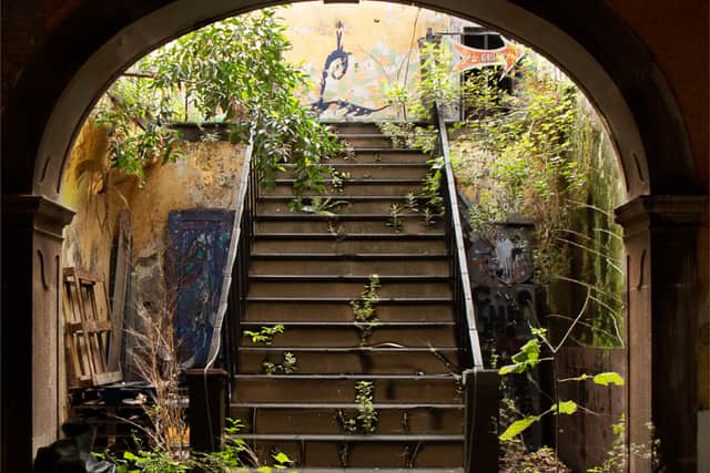 HC. Michael Warrender - Urban Decay