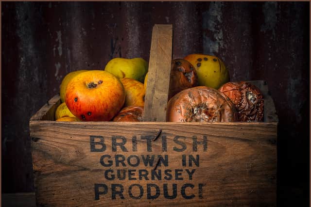 C. John Ridgway - British Produce Past Its Best