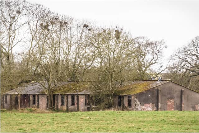3. Dave Collier - Arboreal Encroachment
