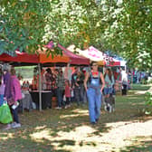 Upper Green in Tettenhall will again feature a range of food and drink at the festival