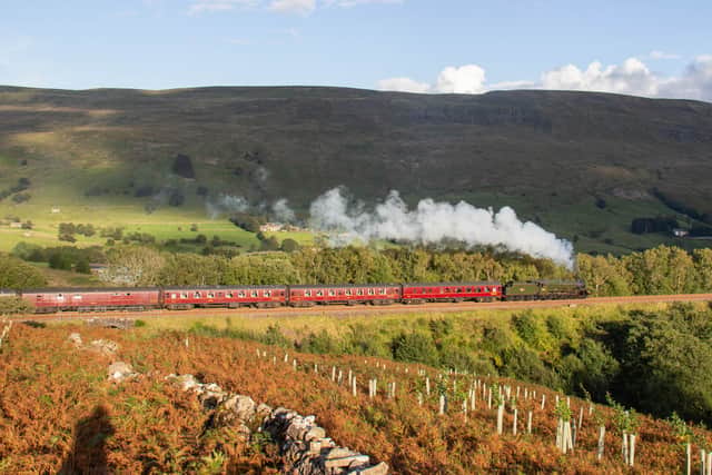 45699 'Galatea'. Picture: Kenny Felstead